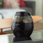 Honeywell MistMate Ultrasonic Cool Mist Humidifier - Black-Visible Cool Mist
