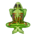 Dissect-It Frog Super Lab -The frog comes with Gelatin skin that is solid yet cuts like butter so it’s completely child safe and biodegradable too