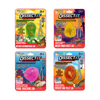 Top Secret Toys Dissect It Discover It - Assorted-You might find a salamander, bird, or mouse skeleton in the Owl Pellet Lab 