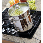 Euro Cuisine EC9500 Stove Top Juicer, Stainless Steel-Extract 100% pure, delicious juice and steam cook complete meals