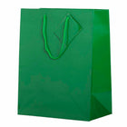 Jam Paper Glossy Gift Bags with Rope Handles - Large - 10" x 5" x 13" - Green - 100 Pack-Our giftbags feature a soft rope handle and an attached blank gift tag, allowing you to address your gifts or favors.