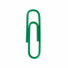 JAM Paper Colored Standard 1" Paper Clips - Green - 2 Packs of 100-Size: 1 inch (Standard/Regular)