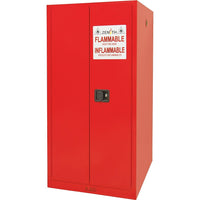 Zenith Safety - Armoire Pour Peintures Et Encres, 96 Gal., 5 Tablettes-Capacité 96 gal.