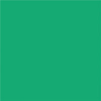 North American Paper Inc. Construction Paper - 12" x 18" - Green - 48 Sheets-18" x 12" (Portrait)