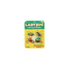 Insect Lore Ladybug Life Cycle Stages Figures (ILP6090)-Age group and grade: Ages 4+ and grades pre school - 7th