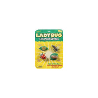 Insect Lore Ladybug Life Cycle Stages Figures (ILP6090)-Age group and grade: Ages 4+ and grades pre school - 7th
