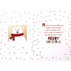 Rosedale Gold "Merry Christmas" Polar Bear Greeting Cards with Envelopes - 5-1/2" x 8" - 6 Pack-External Message: Merry Christmas