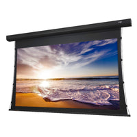 Elunevision 100" 16:9 Reference 4K Acoustic Weave Tab Tension Motorized Screen-Electric projection screen