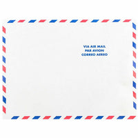 JAM Paper 10" x 13" Tyvek Tear-Proof Open End Catalog Envelopes - White Airmail - 10 Pack-Durable Tyvek White Airmail Envelopes