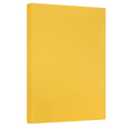 JAM Paper Vellum Bristol Tabloid Cardstock, 11 x 17, 67 lb. Goldenrod, 50 Pack (16932834)-Size: 11 x 17 inches