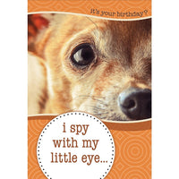 Millbrook Studios 5-3/8" x 7-3/4" It's Your Birthday? I Spy With My Little Eye Greeting Cards and Envelopes, 18 Pack (06109)-Printed on uncoated card stock