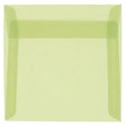 JAM Paper 6.5 x 6.5 Square Envelopes, Leaf Green Translucent Vellum, 50 Pack (1592115I)-Leaf green translucent envelope