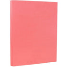 JAM Paper Vellum Bristol Cardstock, 8.5 x 11, 67lb Cherry Red, 2 packs of 50 (169823g)-Size: 8-1/2" x 11"