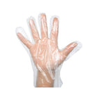 Globe Polyethylene Powder Free Gloves - Large - Clear - 500 Pack-4.7" wide and 9" long