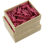 JAM Paper Wood Clothing Pin Clips, Small 7/8, Fuchsia Pink, 3 Packs of 50, 150 Total (230729139g)-Fuchsia Miniature Clothespins