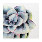 kieragrace KG Raccow Succulent Art - Set of 3, 12" x 12", and 12" x 26", Blue, Purple, White, Green and Yellow-Two prints measure 12” x 12” x 0.75”, one is 12” x 26” x 0.75”