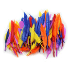 Charles Leonard Creative Arts Duck Quill Feathers, Assorted Colours, 3" - 5", 8 Pack (CHL63080)-Duck quills feathers is perfect for any craft project