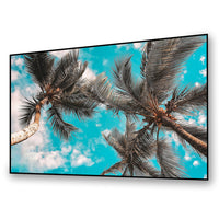 Elunevision 120" 16:9 Reference 4K Slim Fixed-Frame Screen-Electric projection screen