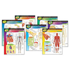 TREND enterprises, Inc. The Human Body Learning Charts Combo Pack, 7 Pack-Dimensions: 17"H x 22"W