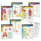TREND enterprises, Inc. The Human Body Learning Charts Combo Pack, 7 Pack-Assorted