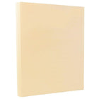 JAM Paper Vellum Bristol Cardstock, 8.5 x 11, 67lb Cream Ivory, 2 packs of 50 (169824g)-Size: 8-1/2" x 11"