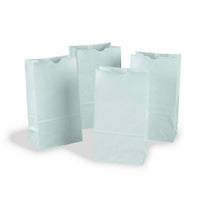 Pacon Corporation Pac72020 Kraft Bags, 6" x 11", 318 Pack (PAC72020)-White kraft bags for art and craft projects