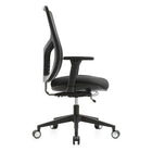 Raynor High Back Executive Mesh Chair - Black-Synchro tilt