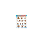 Trend Enterprises Sign Language Learning Chart, 10/Pack (T-38039)-With attractive photographs, it's perfect for developing important essential skills