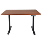 Ezywork 48"Electric Height Adjustable Standing Desk - Black Frame/Dark Walnut Table Top-Desktop Size: 47.2"W x 29.5"D (120cm x 75cm)