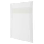 JAM Paper 9.5 x 9.5 Square Envelopes, Clear Translucent Vellum, 50 Pack (2851357I)-Blank interior for personalized message