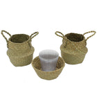 Cathay Importers - Panier d'herbes de mer avec doublure rigide en PVC, naturel, paq./3 (EC-08-1943)-Tissage traditionnel d'herbe de mer