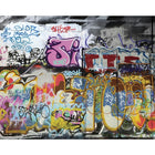 ohpopsi Graffiti Wall Mural, Multicolor-Printed on nonwoven material