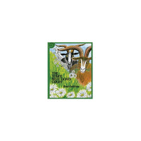 Houghton Mifflin Harcourt The Three Billy Goats Gruff Big Book (HO-0618836853)-Age group and grade: Ages 3 - 5