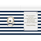 Rosedale 5-1/2" x 8" Boy Birthday Greeting Cards And Envelopes, 6 Pack (19773)-Card shop quality greeting cards