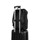 Bugatti Taylor Collection 15.6" Business Backpack - Black-Back padded section with dual zipper to store your laptop or tablet (fits most devices up to 15.6”)