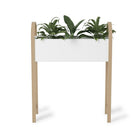 Umbra Grove Storage & Planter - White/Natural-Grove can also be used as a modern, freestanding storage unit in a variety of rooms. Its wooden legs double as handles