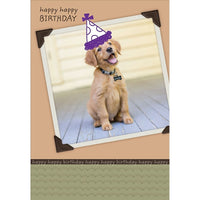 Millbrook Studios 5-3/8" x 7-3/4" Happy Happy Birthday Greeting Cards and Envelopes, 18 Pack (06149)-Printed on uncoated card stock