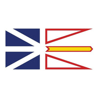 Provincial Flag, Newfoundland, 36" x 60"-36" x 60" flag, rectangular shape