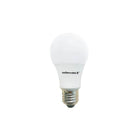 Northern Stars 80074 LED Light Bulb, A19 7W, Dimmable, Frosted, White, 2 Pack-LED A19 7W, Cool white