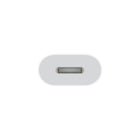 Apple USB-C to Lightning Adapter - White-Color: White