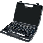 Aurora Tools – Prise SAE Ensemble de douilles, 20 pièces, 3/8 po-Acier en vanadium chromé pour plus de solidité et de durabilité