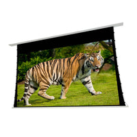 Elunevision 112" 16:9 Reference 4K In-Ceiling Acoustic Motorized Screen-Electric projection screen