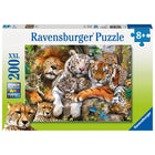 Ravensburger Big Cat Nap 200-Piece Puzzle-About This 200pc Puzzle: Stretch out and get comfy with our languid lion, tired tigers and laid-back leopard as you puzzle our relaxing “Big Cat Nap” scene
