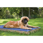 TechNiche Hyperkewl Evaporative Cooling Dog Pad Blue, Extra-Large (8511 RB XL)-Can be used inside or outside