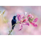 Millbrook Studios 5-3/8" x 7-3/4" Greeting Cards/Envelopes - 2046-Value Greeting Cards