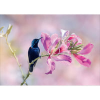Millbrook Studios 5-3/8" x 7-3/4" Greeting Cards/Envelopes - 2046-Value Greeting Cards