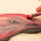 Pentel Arts Oil Pastels - 50 Colour Set-Intense and bright colors