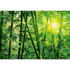 Ideal Decor – Mural Bamboo Forest, 144 x 100 po-Mesure 12 pi x 8 pi 4 po