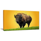 Designart Lone Bison Canvas Art Print, 5 Panels, (PT2326-40-20)-Print