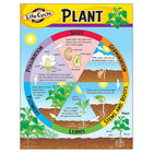 TREND enterprises, Inc. Life Cycle of a Plant Learning Chart, 17" x 22"-Size: 17" x 22"